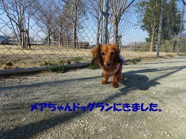 20210220DSC09070.jpg