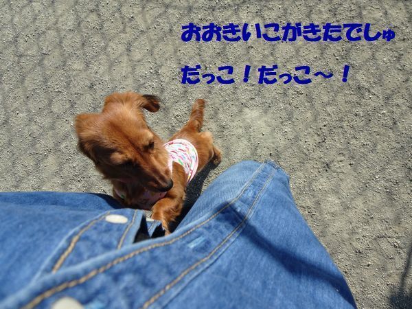20210220DSC09073.jpg