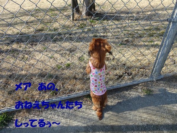 20210220DSC09074.jpg