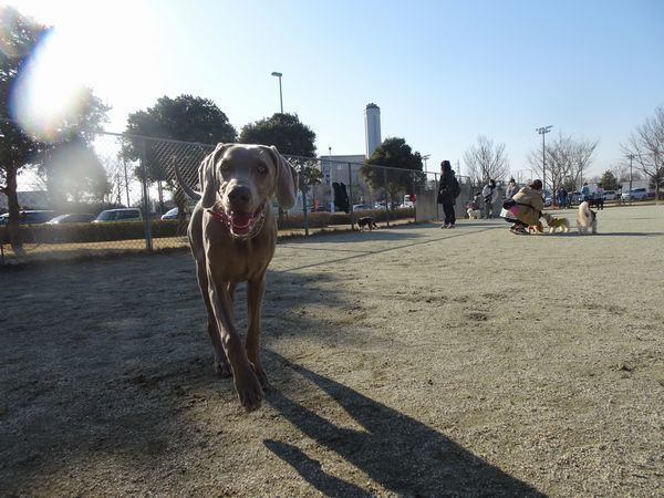 20210220DSC09105.jpg