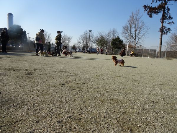 20210220DSC09118.jpg