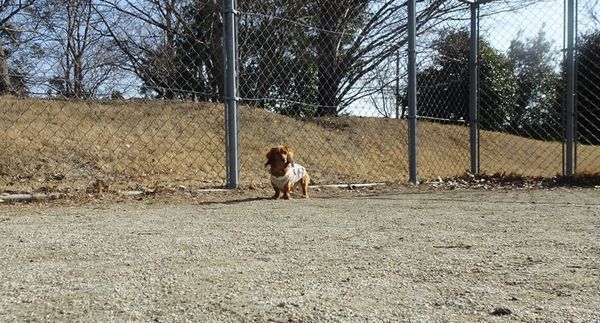 20210221DSC09132.jpg